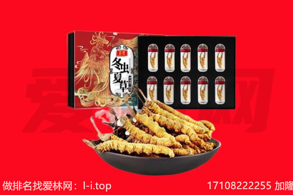 博尔塔拉州回收虫草.jpg